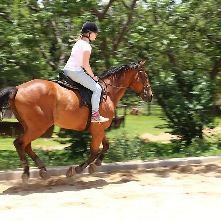 Hureninzeeland - Marina Port Zelande Comfort Appartementen