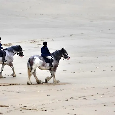 Hureninzeeland - Marina Port Zelande Comfort Appartementen