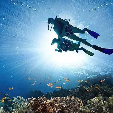 酒店 Hureninzeeland - Marina Port Zelande Comfort Appartementen