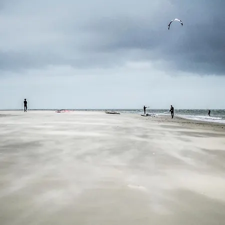 Dom wakacyjny Hureninzeeland - Marina Port Zelande Comfort Appartementen *