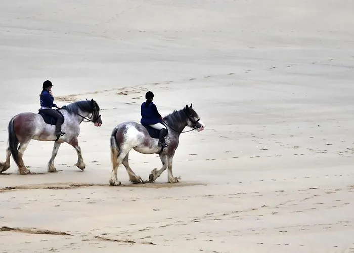 Hureninzeeland - Marina Port Zelande Comfort Plus Appartementen