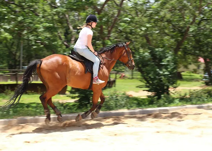 Hureninzeeland - Marina Port Zélande Comfort Appartementen