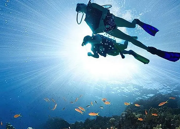 Hotel Hureninzeeland - Marina Port Zélande Comfort Appartementen